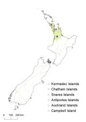 Diplazium nipponicum distribution map based on databased records at AK, CHR & WELT.
 Image: K.Boardman © Landcare Research 2018 CC BY 4.0